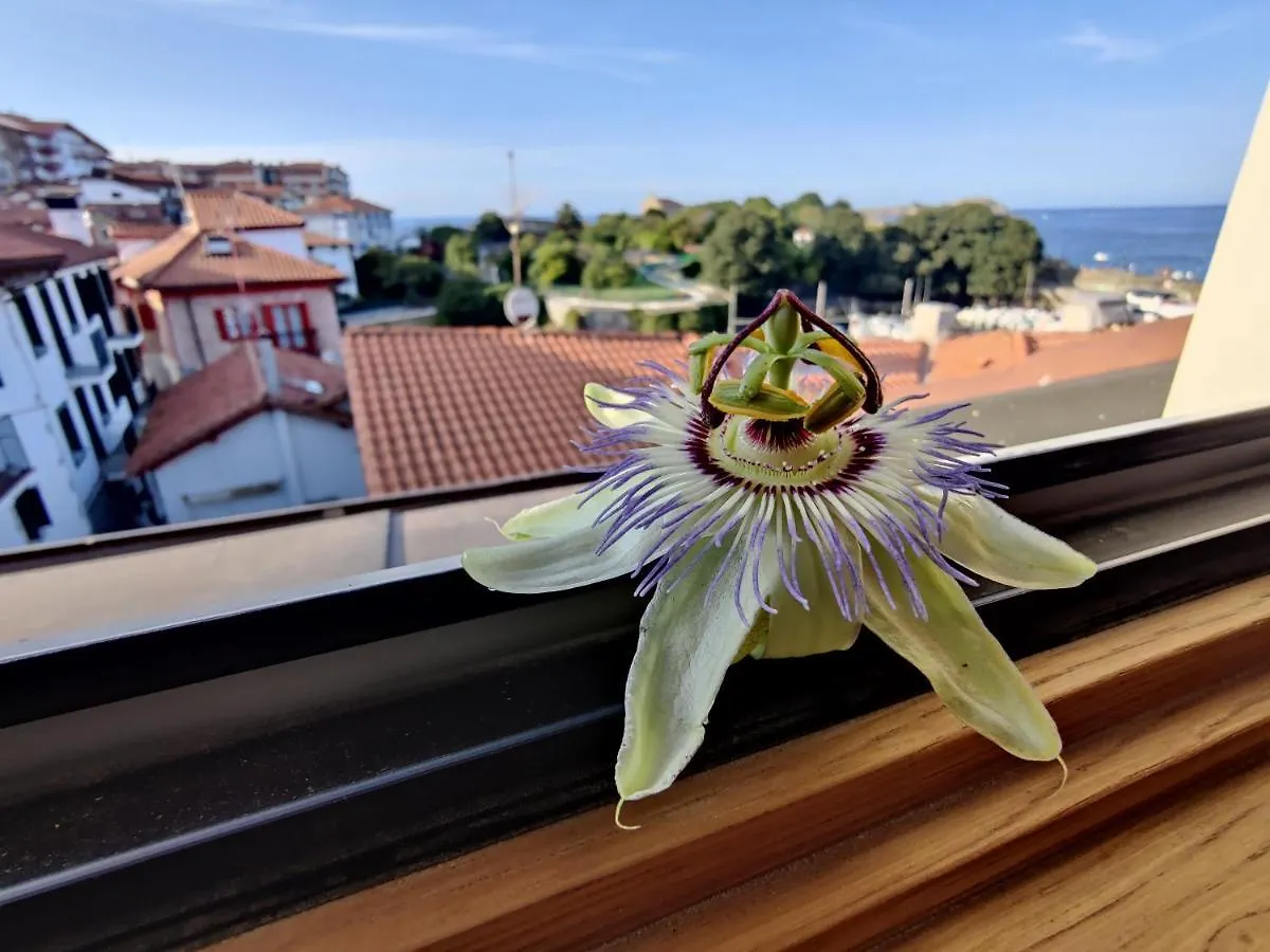 Aparthotel Apartamentos Mundaka Surf Camp